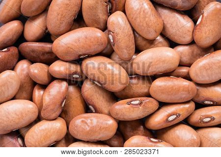 High Quality Seeds Of Blauhilde Phaseolus, Legumes In A Texture Form For Your Awesome  Garden. Can B