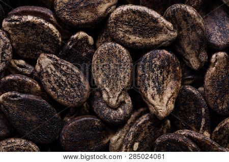 High Quality Seeds Of Watermelon, Pumpkin In A Texture Form For Your Unique Garden. Can Be Used By S