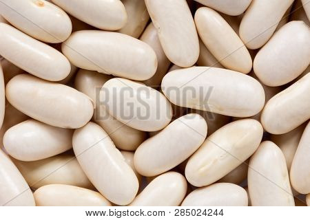 High Quality Seeds Of Beans, In A Texture Form For Your Unique Garden. Can Be Used By Seed Producers