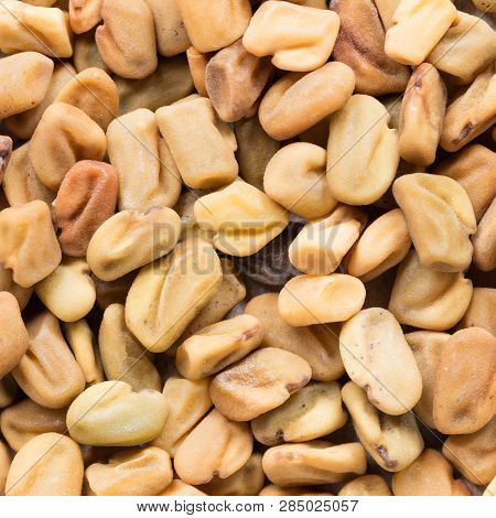 High Quality Seeds Of Blue Fenugreek, In A Texture Form For Your Unique Garden. Can Be Used By Seed 