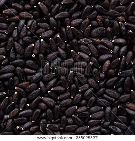 High Quality Seeds Of Melissa Officinalis, In A Texture Form For Your Personal Garden. Can Be Used B