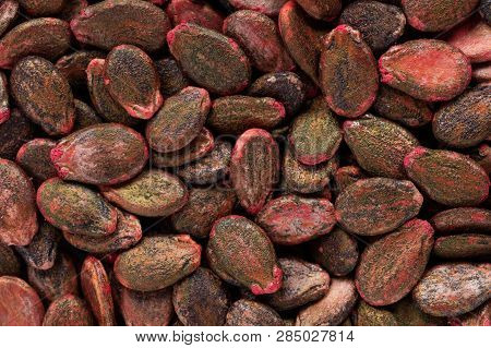High Quality Seeds Of Watermelon, In A Texture Form For Your Perfect Garden. Can Be Used By Seed Pro