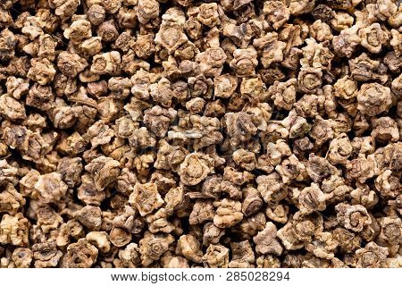 High Quality Seeds Of Beet, Vegetable In A Texture Form For Your Unique Garden. Can Be Used By Seed 