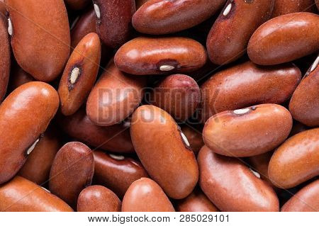 High Quality Seeds Of Chocolate Beans, Legumes In A Texture Form For Your Beautiful Garden. Can Be U