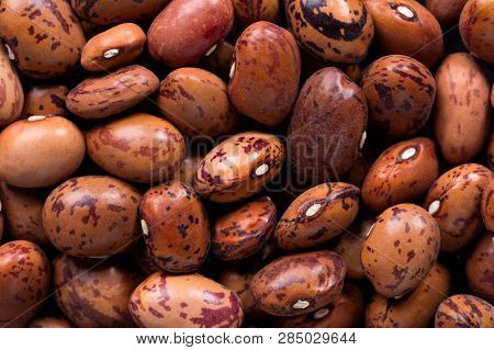 High Quality Seeds Of Brown Beans, Legumes In A Texture Form For Your Beautiful Garden. Can Be Used 