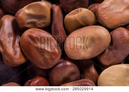 High Quality Seeds Of Legumes, In A Texture Form For Your Beautiful Garden. Can Be Used By Seed Prod