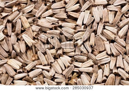 High Quality Seeds Of Beautiful Echinacea, Flower In A Texture Form For Your Personal Garden. Can Be