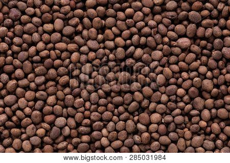 High Quality Seeds Of Beautiful Balsaminaceae, Flower In A Texture Form For Your Personal Garden. Ca