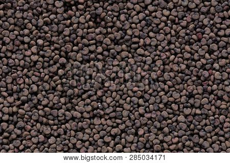 High Quality Seeds Of Lychnis, Flower In A Texture Form For Your Unique Garden. Can Be Used By Seed 
