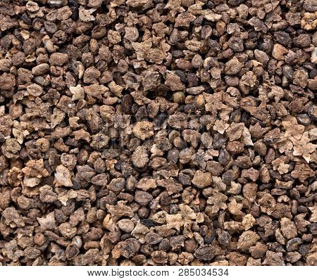 High Quality Seeds Of Kochia, Flower In A Texture Form For Your Unique Garden. Can Be Used By Seed P