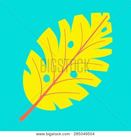 Monstera Leaf, Great Design For Any Purposes. Monstera Leaf Vector Pattern. Palm Monstera Pattern. F