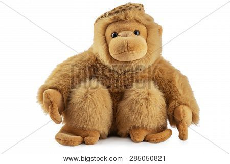 Monkey Doll Plush Toy Studio Isolated. Chimpanzee, Jocko, Gorilla, Anthropoid, Hominids.