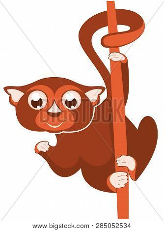 Lemur Or Sloth Original Illustration. Cute Lemur Or Slot Holds On The Tree Isolated On White Illustr