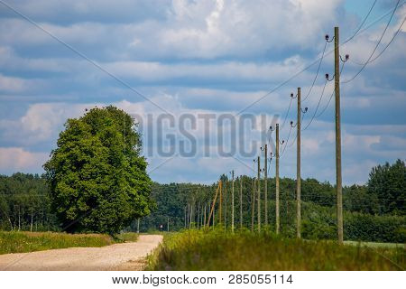 Summer Landscape With Empty Road, Trees And Blue Sky. Electrical Poles Next To The Road. Rural Road,