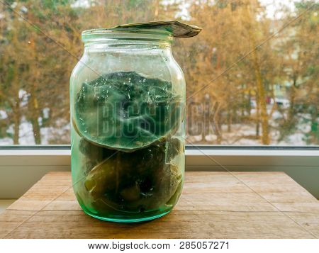 Can Of Pickled Cucumbers On Window On A Background Of Autumn Or Winter Forest.  Huge Texture Of Mold