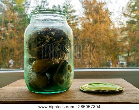 Can Of Pickled Cucumbers On Window On A Background Of Autumn Or Winter Forest.  Huge Texture Of Mold