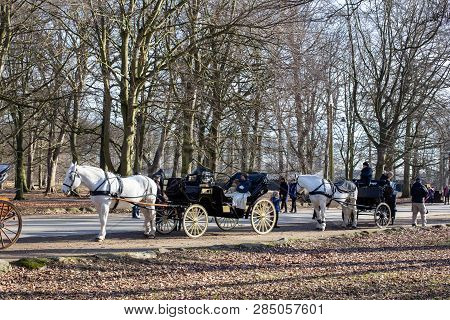 Klampenborg, Denmark - February 16, 2019:  Two Horse-drawn Carriages Inside The Deer Park Dyrehaven.
