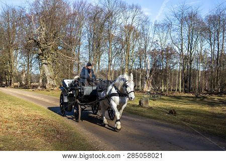 Klampenborg, Denmark - February 16, 2019:  A Horse-drawn Carriages Inside The Deer Park Dyrehaven. D