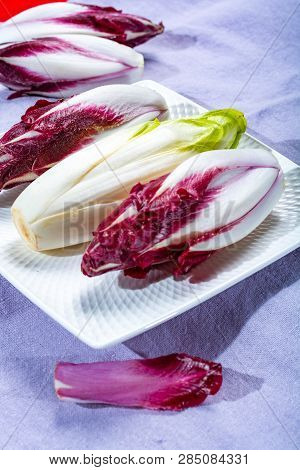 Group Of Fresh Green Belgian Endive Or Chicory And Red Radicchio Vegetables, Also Known As Witlof Sa