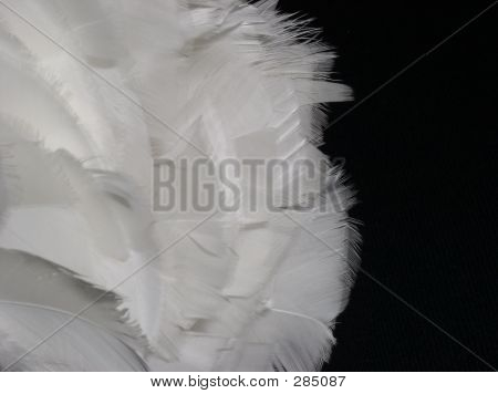 Fjer Duster