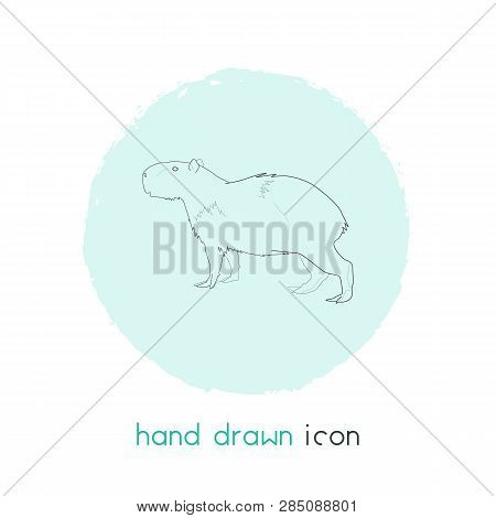 Capybara Icon Line Element.  Illustration Of Capybara Icon Line Isolated On Clean Background For You