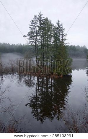 Fir Trees On A Small, Flooded Island Are Reflected In The Still Waters Of Thetis Lake On A Foggy Win