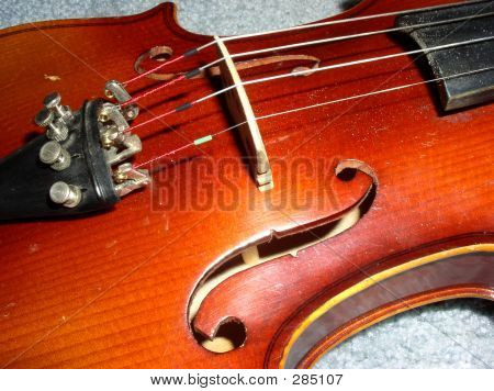 Violin