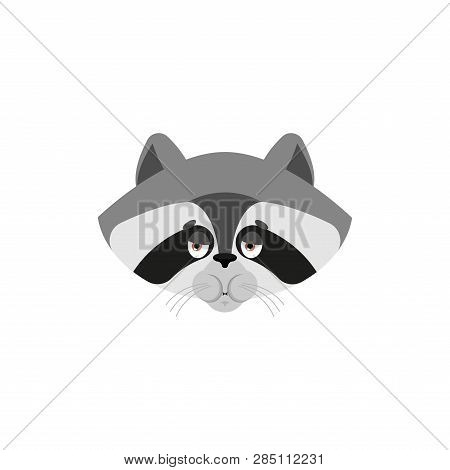 Raccoon Nausea Feeling Sick Emotion Isolated. Sick Racoon Cartoon Style. Coon Ill Vector