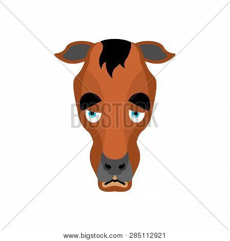 Horse Sad Emoji. Steed Sorrowful Emotions. Hoss Dull. Vector Illustration