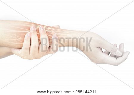 Forearm Muscle Injury White Background Forearm Pain