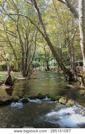 Agios Nikolaos Park Naousa Greece Europe