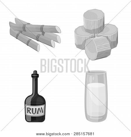 Vector Design Of Sugarcane And Cane Icon. Collection Of Sugarcane And Field Stock Symbol For Web.