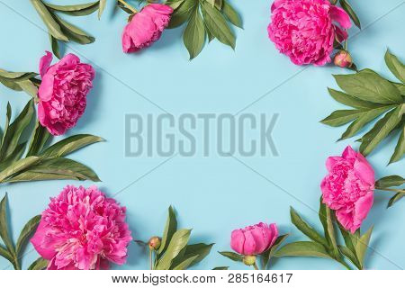 Beautiful Pink Peony Flowers As Frame On Punchy Pastel Blue. Copy Space And Close Up. Top View. Flat