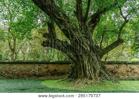 Temple Of Literature In Hanoi City, Vietnam. Van Mieu