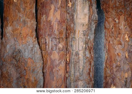 Plank Background, Grunge Wooden Background. Wood Texture. Natural Wooden Background
