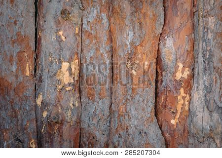 Plank Background, Grunge Wooden Background. Wood Texture. Natural Wooden Background