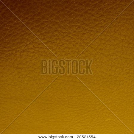 Abstrakt
