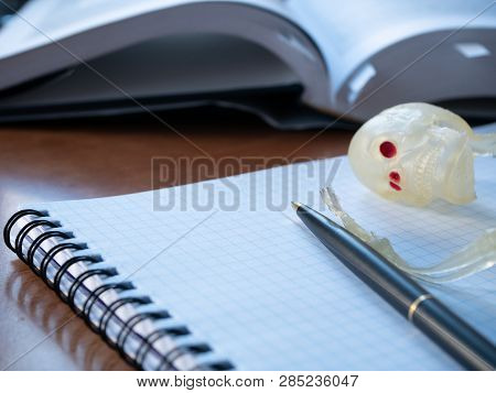 Close-up Of Skeleton Head And Pen On Notepad. Exhausted Office Employee Manager Died At Work Because