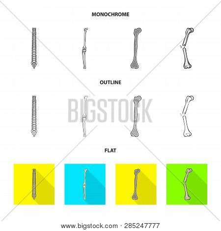 Vector Design Of Medicine And Clinic Icon. Set Of Medicine And Medical Stock Vector Illustration.