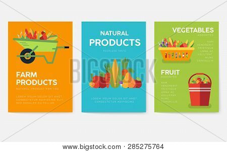Farm Information Cards Set. Nature Template Of Flyear, Magazines, Posters, Book Cover, Banners. Eco 