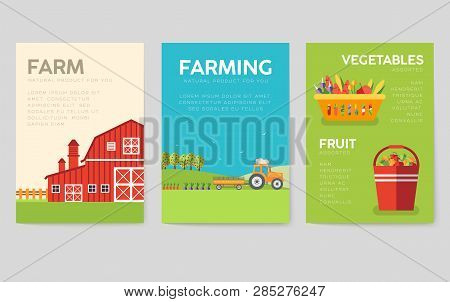 Farm Information Cards Set. Nature Template Of Flyear, Magazines, Posters, Book Cover, Banners. Eco 