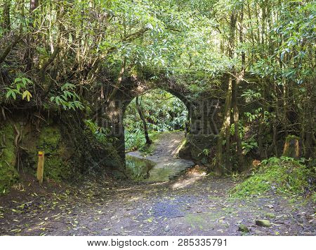 Old Stone Water-conduit Bridge Covered By Moss And Lush Vegetation On Footpath Hiking Trail Janela D