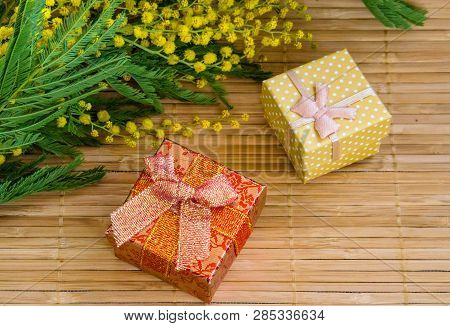 March 8th International Women`s Day Spring Festival Red Ribbon With Carnation Greeting Card