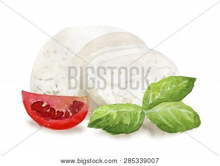Hand Drawn Seamless Pattern With Cheese  On White Background. Vegetarian Healthy Food. Watercolor Il