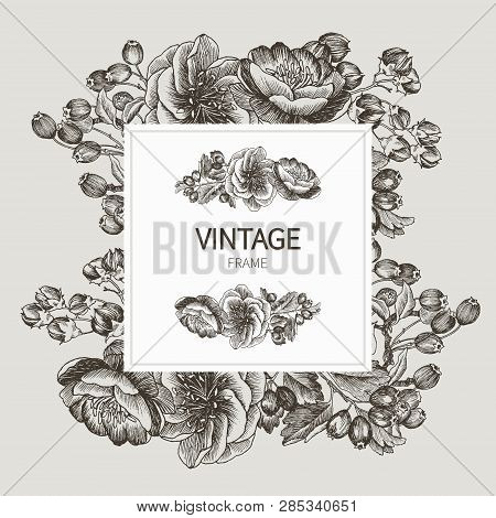 Beautiful Card With A Square Frame With Wreath Of Different Plants Of Vintage Garden And Forest. Bla