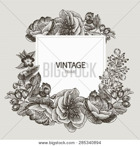 Beautiful Card With A Square Frame With Wreath Of Different Plants Of Vintage Garden And Forest. Bla