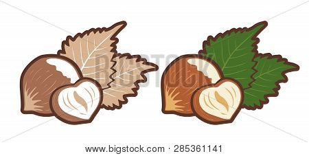 Vector Set Icons Of Hazelnut. Vector Emblems Hazelnuts
