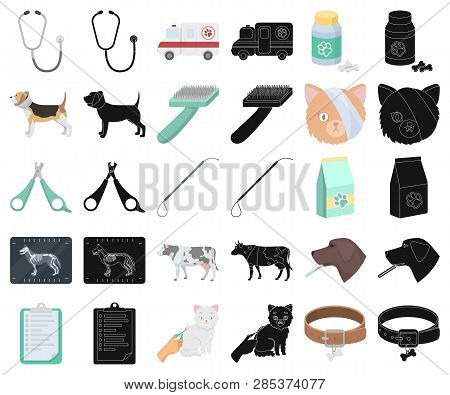Veterinary Clinic Cartoon, Black Icons In Set Collection For Design. Treatment Of A Pet Vector Symbo