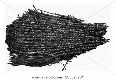Woven grass cleaved from a stony construction on stilts, vintage engraved illustration. From the Universe and Humanity, 1910.