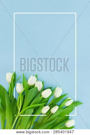 White Tulips On Blue Background With Frame, Flower Postcard For Women's Day, Mother's Day Or Sale Co
